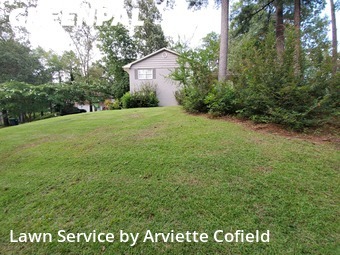 Grass Cut nearby Birmingham, AL, 