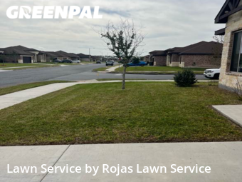 Lawn Cut nearby Harlingen, TX, 