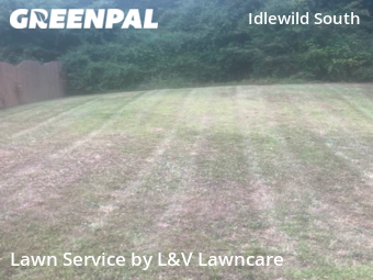 Lawn Care nearby Charlotte, NC, 