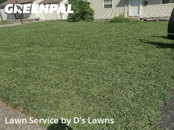 Lawn Service nearby Louisville, KY, 
