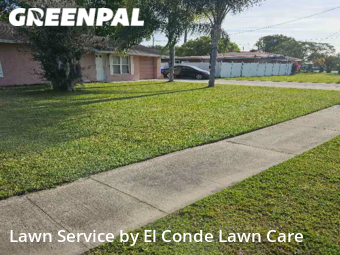 Yard Cutting nearby Kissimmee, FL, 