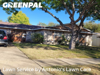 Lawn Mowin Dallas,75241,Lawn Care Service by Antonio's Lawn Care, work completed in Nov , 2025