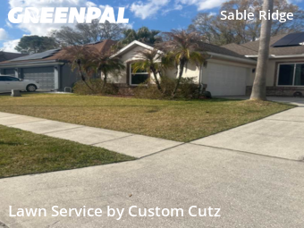Grass Cutting nearby Land O' Lakes, FL, 