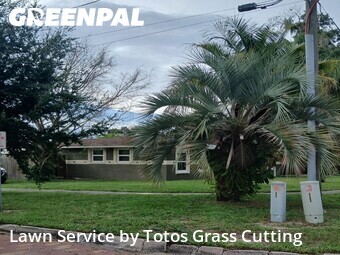Lawn Cutin Ocoee,34761,Lawn Care by Totos Grass Cutting, work completed in Jul , 2026