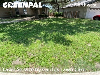 Grass Cutting nearby San Antonio, TX, 