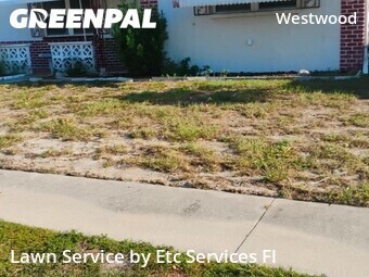 Lawn mowed in Holiday, 34691