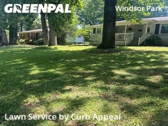 Landscaping Renovation In Charlotte,28205,Landscaping by Curb Appeal, work completed in Jul , 2026