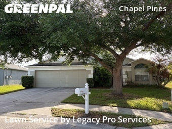 Grass Cut nearby Wesley Chapel, FL, 