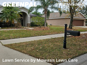 Grass Cutting nearby Tampa, FL, 