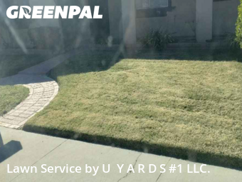 Backyard Landscaping In Modesto,95355,Landscaping Renovation by U  Y A R D S #1 LLC., work completed in Oct , 2025