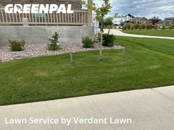 Lawn Mow nearby Loveland, CO, 