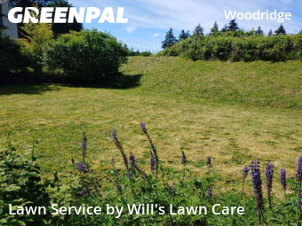 Lawn Maintenance nearby Bellevue, WA, 
