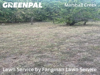 Lawn Cutting nearby Roanoke, TX, 