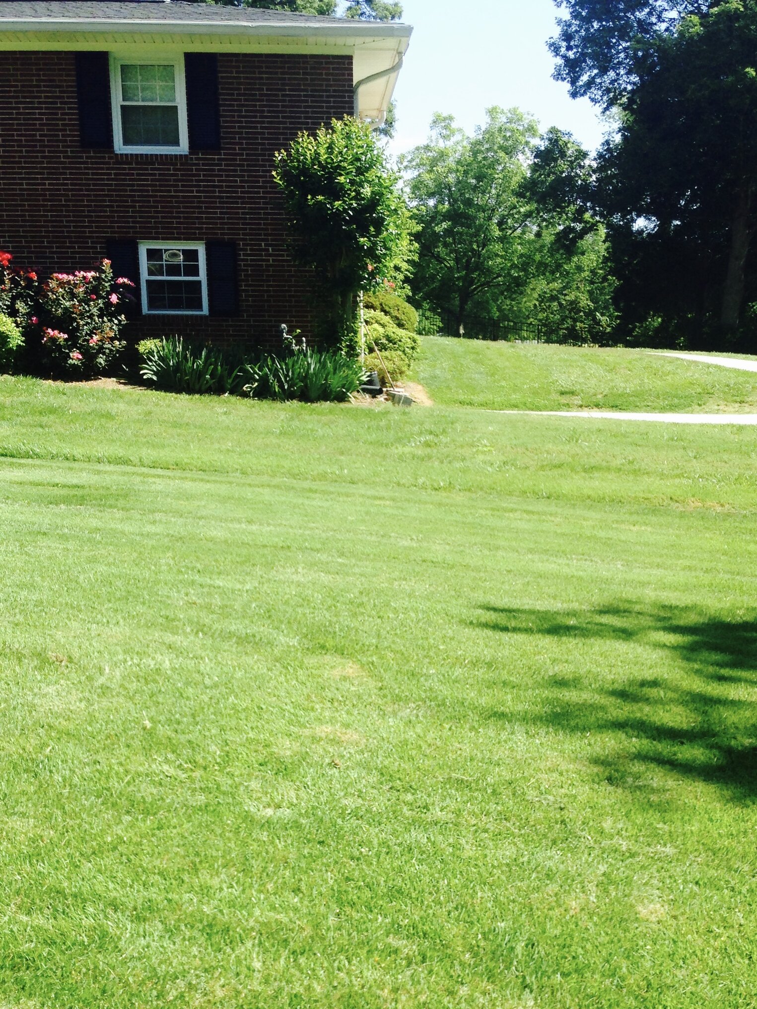 Tec Landscaping Lawn Care Services in Maumelle, AR
