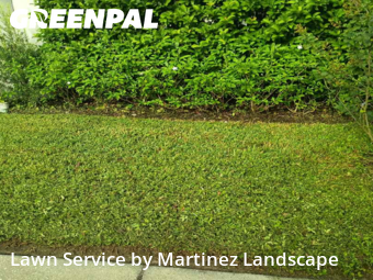 Grass Cutting in Horizon West, 34786, Weekly Mowing by Martinez Landscape, work completed in Dec , 2025