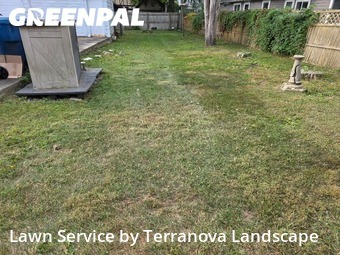 Lawn Cuttingin Aurora,60506,Grass Cut by Terranova Landscape, work completed in Nov , 2025