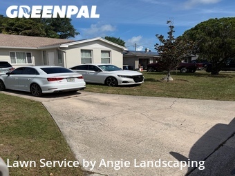 Lawn Cut nearby Clearwater, FL, 
