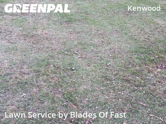 Lawn Cut nearby Smyrna, GA, 