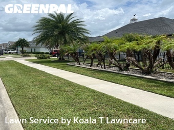 Grass Cutting nearby St. Augustine, FL, 
