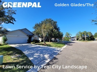 Lawn Servicein Jacksonville,32246,Yard Mowing by Teal City Landscape , work completed in Nov , 2025