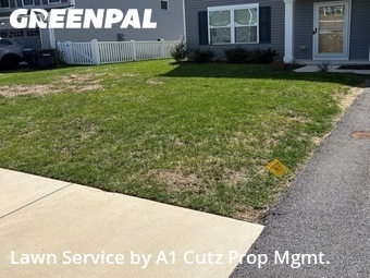 Lawn Care Service nearby Dover, DE, 