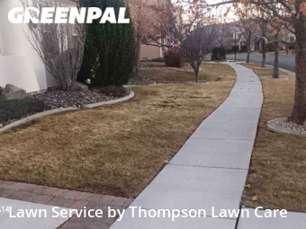Lawn Mow nearby Reno, NV, 
