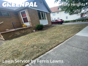 Grass Cutting nearby Buffalo, NY, 