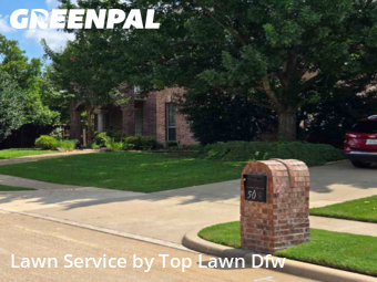 Yard Care in Murphy, 75094, Yard Management by Top Lawn Dfw, work completed in Oct , 2025