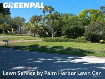 Lawn Mowing Service nearby Palm Harbor, FL, 