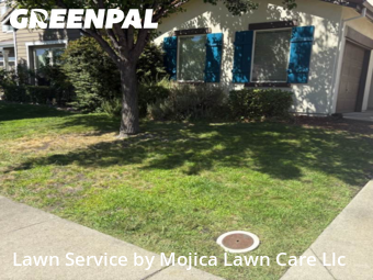 Work completed by grass-cutting-businesses-in-Rocklin-CA