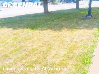 Yard Cutting nearby Penn Hills, PA, 