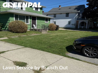 Lawn Care nearby Buffalo, NY, 