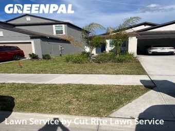 Lawn Cutting nearby Spring Hill, FL, 