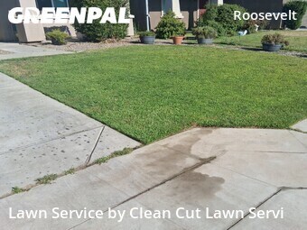Lawn mowing work completed in Fresno, CA