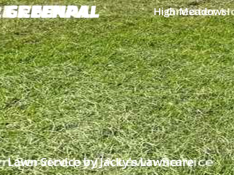 Lawn Mow nearby Sugar Land, TX, 