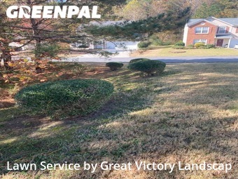 Grass Cut nearby Atlanta, GA, 