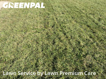 Lawn Cut nearby Omaha, NE, 