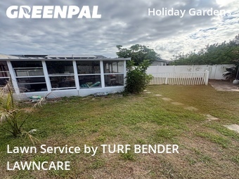 Lawn Cut nearby Holiday, FL, 