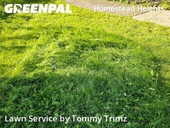 Lawn Cut nearby Rochester, NY, 