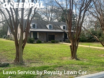 Grass Cut nearby Opelika, GA, 