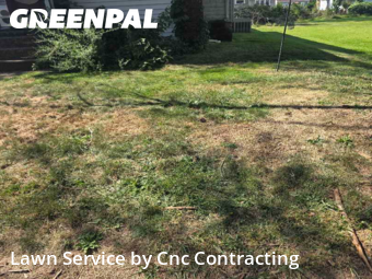 Yard Cutting nearby Niles, OH, 