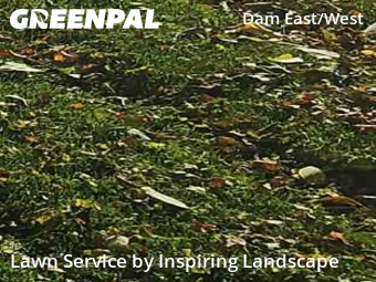 Lawn Mowingin Aurora,80014,Yard Cutting by Inspiring Landscape, work completed in Nov , 2025