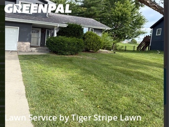 Yard Cutting nearby Papillion, NE, 