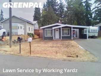 Yard Care in Burien, 98166, Yard Maintenance by Working Yardz, work completed in Nov , 2025