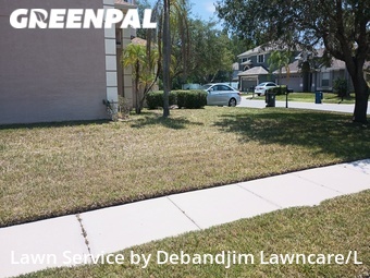 Grass Cutting nearby Oldsmar, FL, 