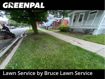 Grass Cutin Cicero,60804,Grass Cut by Bruce Lawn Service, work completed in Jan , 2026