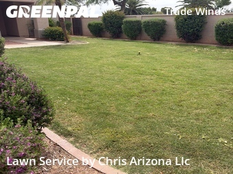 Grass Cutting nearby Chandler, AZ, 