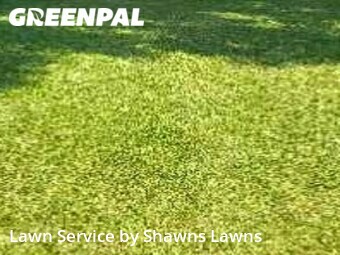 Lawn Care nearby Mesquite, TX, 