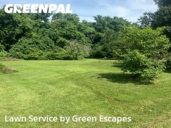 Grass Cutting nearby Smyrna, TN, 