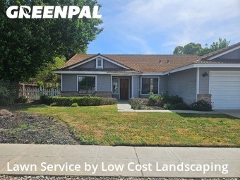 Yard Cutting nearby Clovis, CA, 